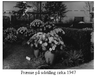 Text Box:  
Prmie p udstilling cirka 1947
