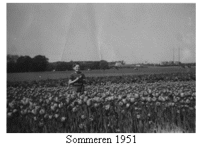 Text Box:  
Sommeren 1951
