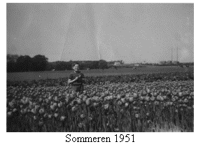 Text Box:  
Sommeren 1951
